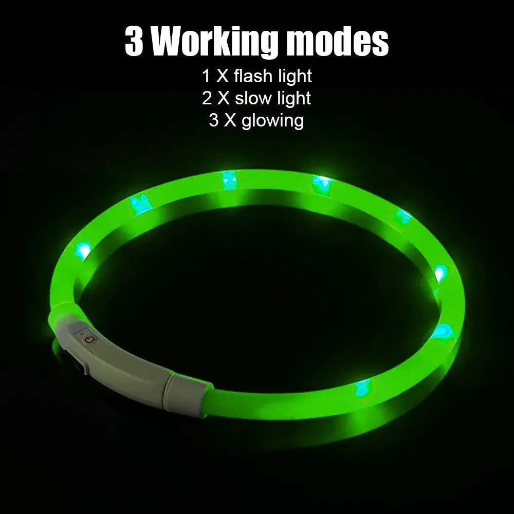 Night Glow LED Dog Collar High Visibility Pet Safety Light