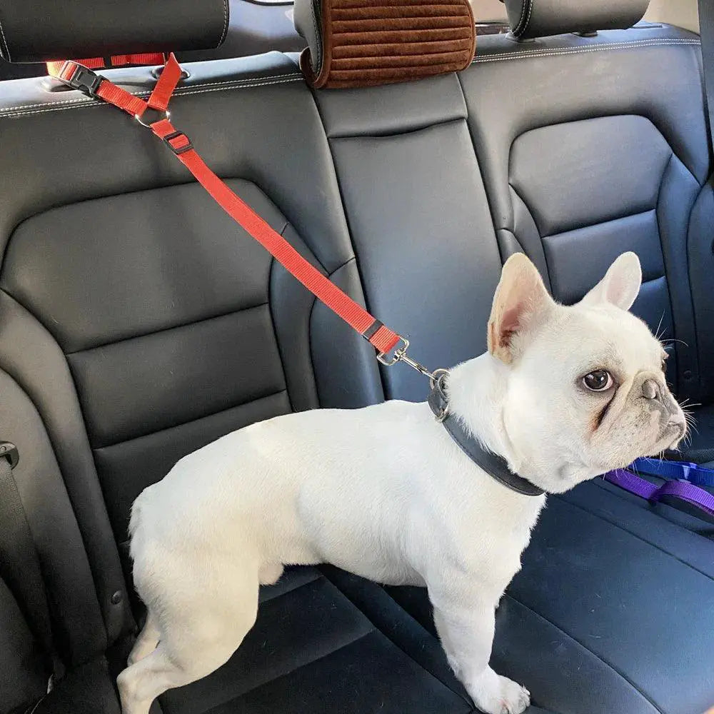 Adjustable Nylon Dog Harness And Car Seat Belt Set For Pets