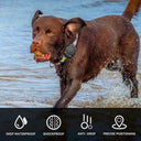 Waterproof AirTag Case for Dog Collars