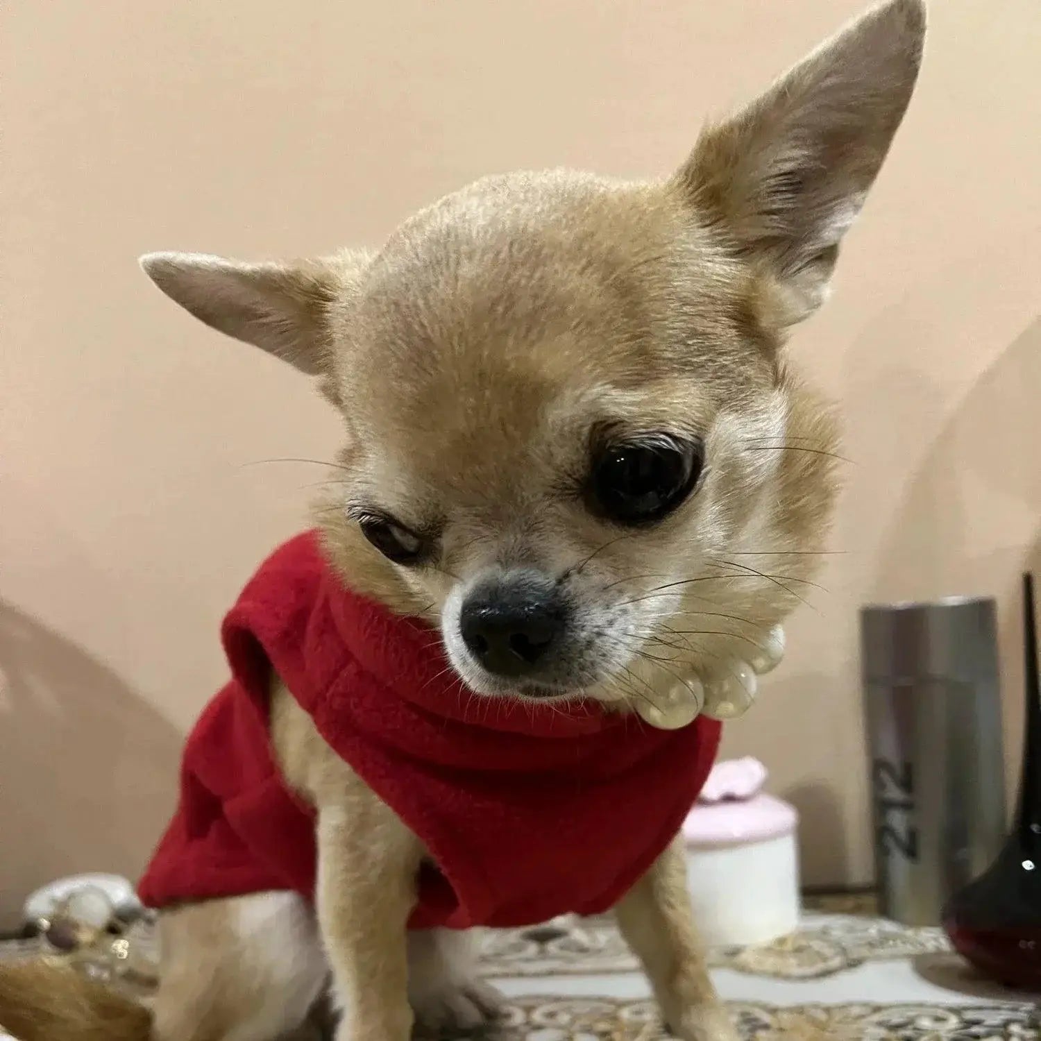Winter Soft Fleece Dog Coat For Small Breeds Warmth