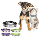 Reflective Cat Collar for Pet Safety
