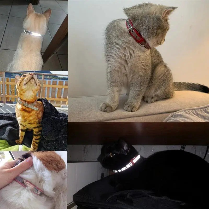 Reflective Cat Collar With Personalized ID For Pet Safety