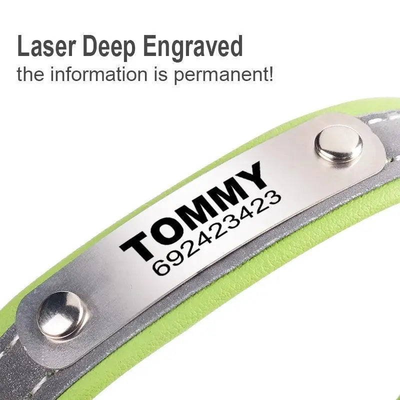 Reflective Cat Collar With Personalized ID For Pet Safety