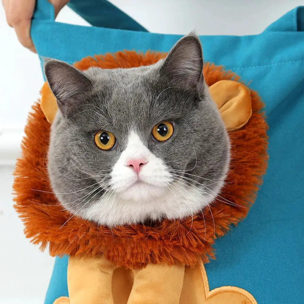 Lion Design Pet Carrier Bag With Safety Zippers For Travel