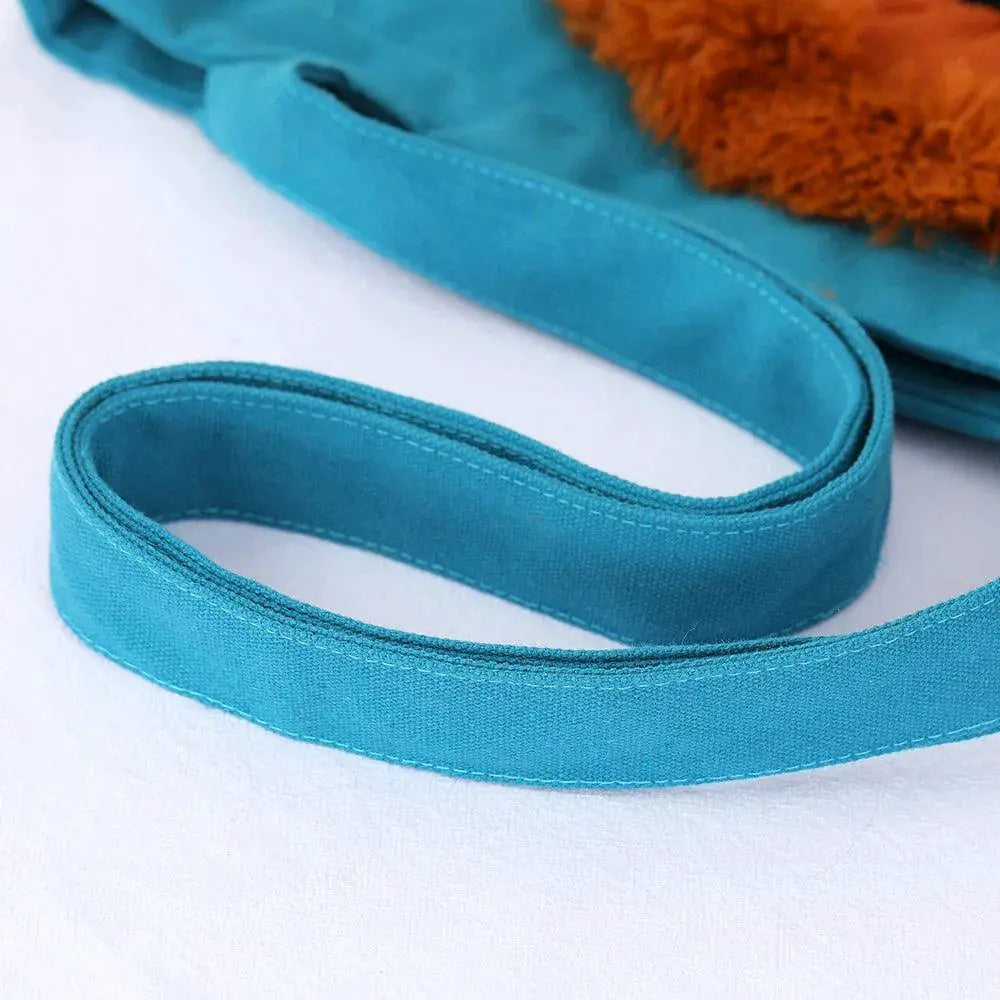 Lion Design Pet Carrier Bag With Safety Zippers For Travel