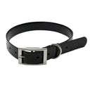 Waterproof Dog Collar for Active Dogs
