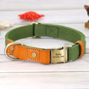 Free Engraving Leather Dog Collar for Id