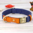Free Engraving Leather Dog Collar for Id