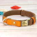 Free Engraving Leather Dog Collar for Id