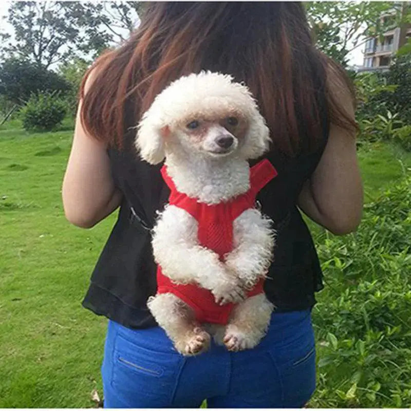 PawJet Small Pet Shoulder Carrier Backpack Sporty Style