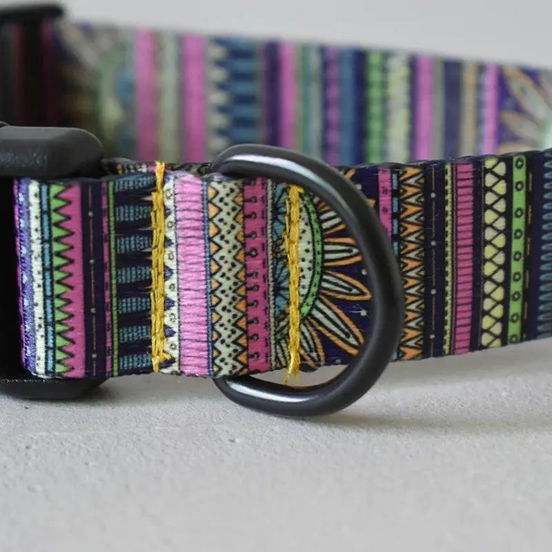 Engraved Nylon Dog Collar And Leash Set Custom Nameplate