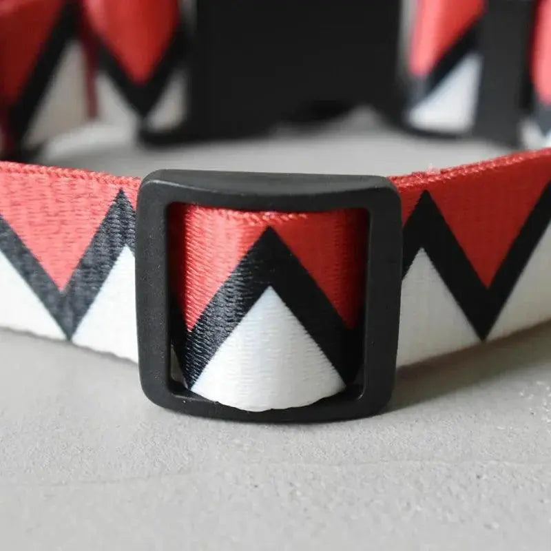 Engraved Nylon Dog Collar And Leash Set Custom Nameplate