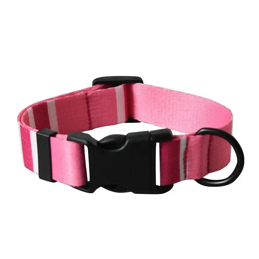 Engraved Nylon Dog Collar Set for Walks — product view 10