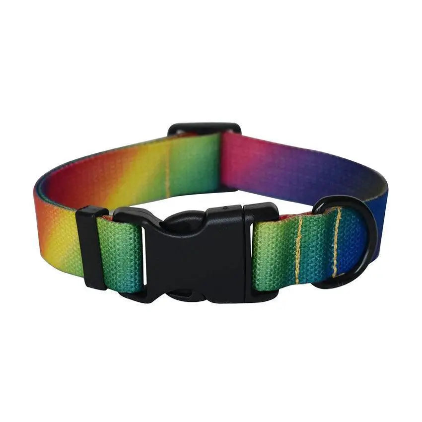 Engraved Nylon Dog Collar Set for Walks — product view 19