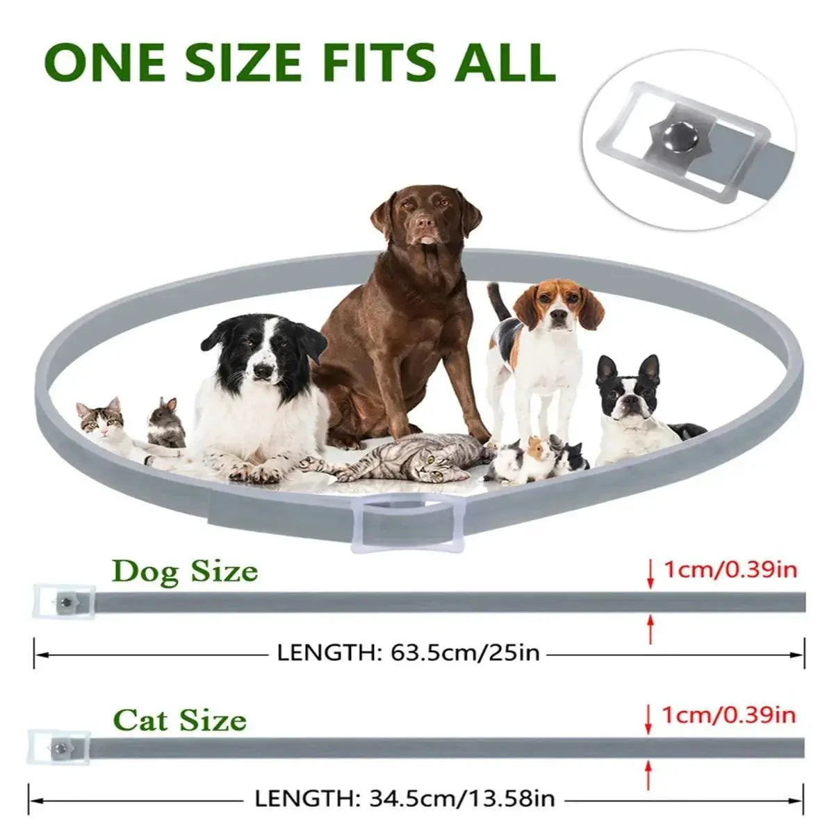 Dewel Flea and Tick Collar for Ultimate Outdoor Protection