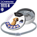 Dewel Flea and Tick Collar for Ultimate Outdoor Protection