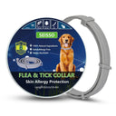 Dewel Flea and Tick Collar for Ultimate Outdoor Protection