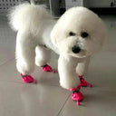 Cozy Waterproof Dog Boots for Small Dogs