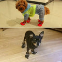 Cozy Waterproof Dog Boots for Small Dogs