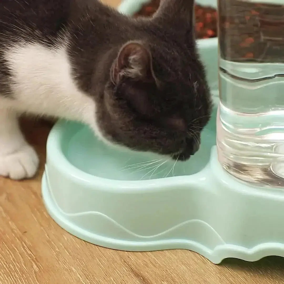Automatic Pet Feeder And Drinking Bowl Combo Large Capacity