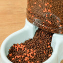 Automatic Pet Feeder And Drinking Bowl Combo Large Capacity