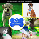 Personalized Safety Dog ID Tag for Pets
