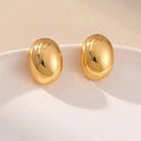 Stainless Teardrop Earrings for Women Shine