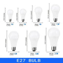 Energy-Saving LED Bulbs for Home Light
