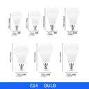Energy-Saving LED Bulbs for Home Light