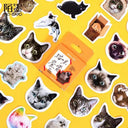 Cat and Dog Stickers for Journalers Joy
