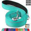 Night Visibility Dog Leash for Walkers