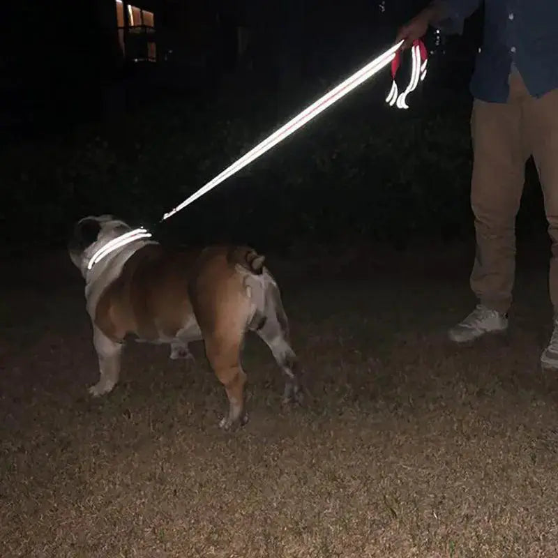 Reflective Night Dog Leash For Enhanced Visibility