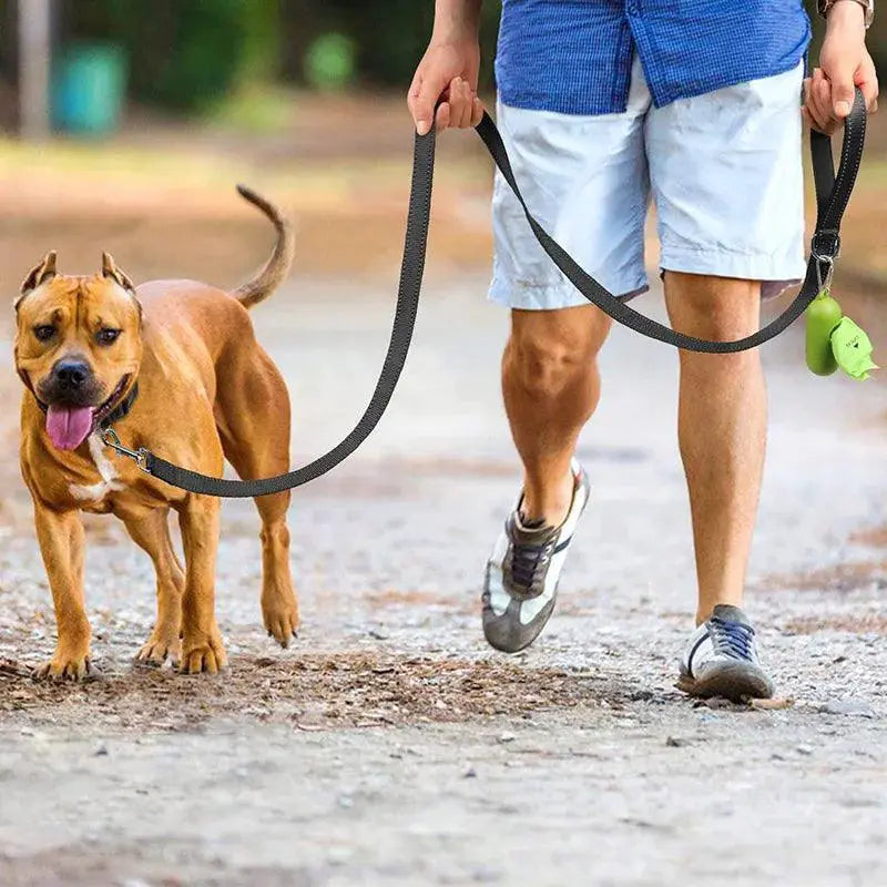 Reflective Night Dog Leash For Enhanced Visibility
