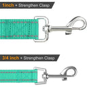 Night Visibility Dog Leash for Walkers