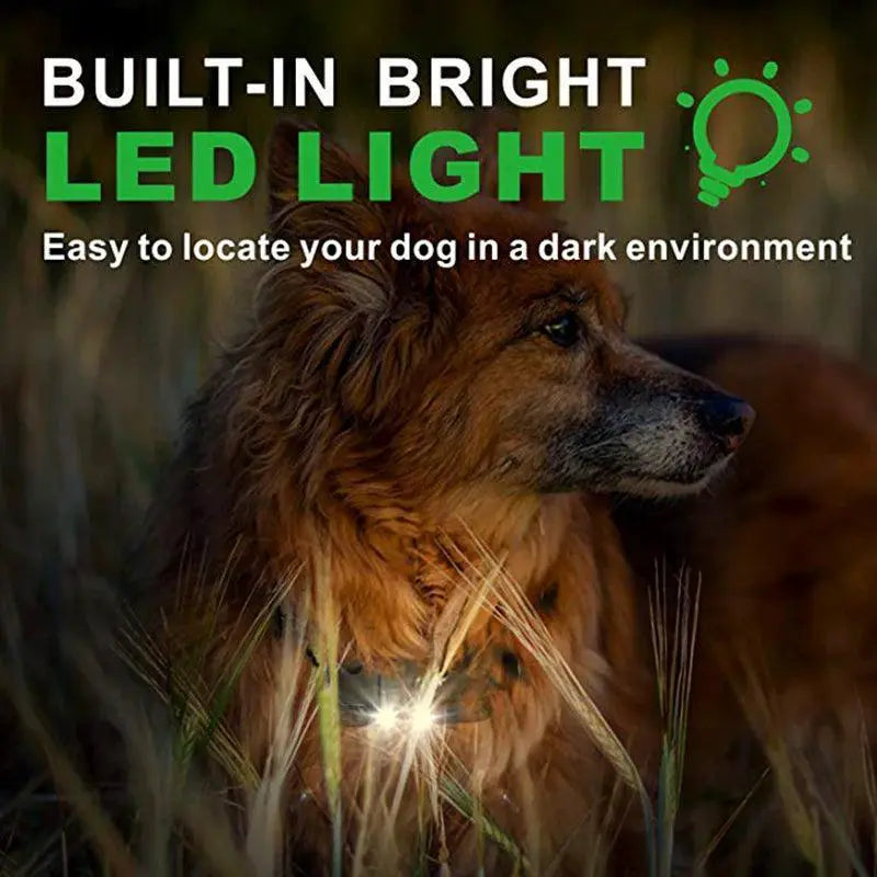 800m Waterproof Dog Training Collar With LCD Control