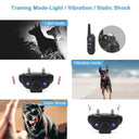 Precise Training Collar for Busy Homes
