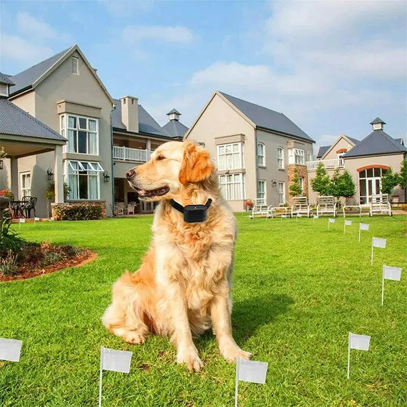 Wireless Dog Fence System Safe Customizable Training