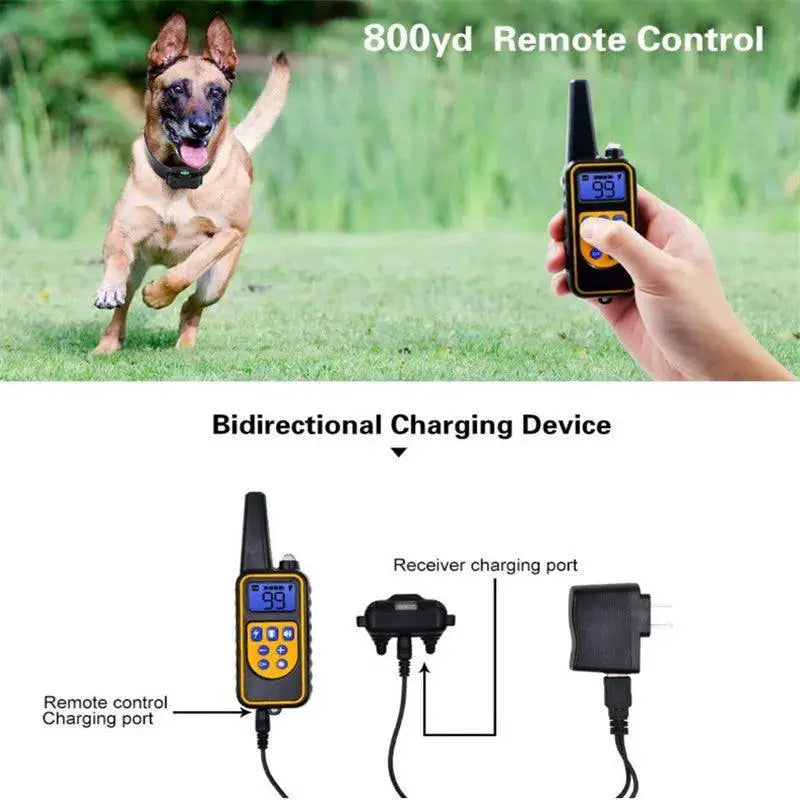 800M Waterproof Anti Bark Dog Training Collar With Remote