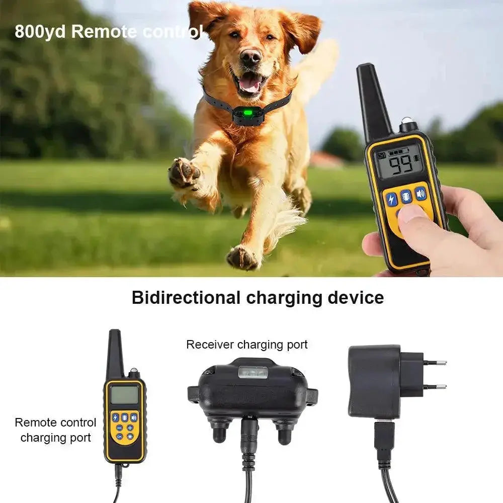 Digital Remote Dog Training Collar Precision Effectiveness