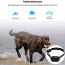 Calm Behavior Remote Dog Training Collar