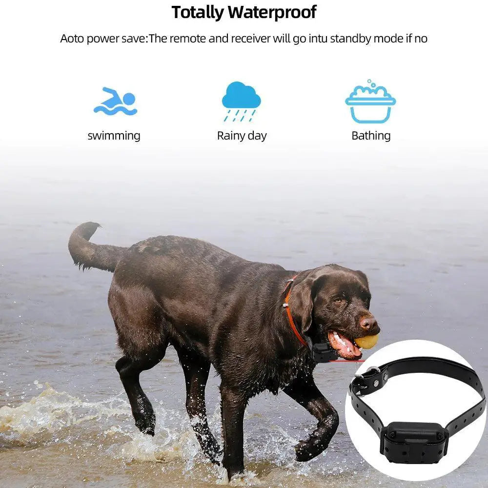 Digital Remote Dog Training Collar Precision Effectiveness