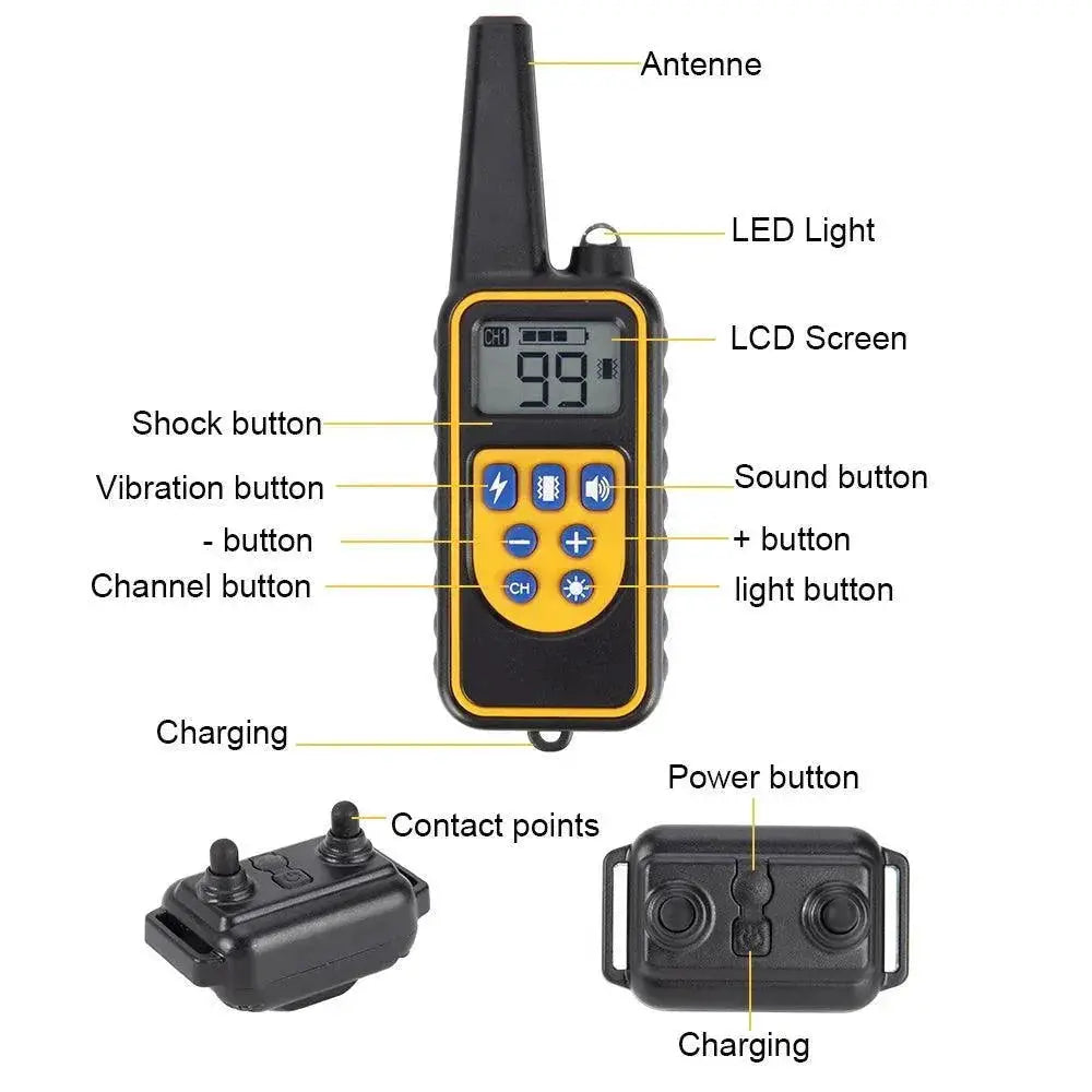 Digital Remote Dog Training Collar Precision Effectiveness