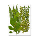 Epoxy Resin Jewelry Kit With Botanical Accessories