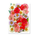 Epoxy Resin Jewelry Kit With Botanical Accessories