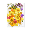 Epoxy Resin Jewelry Kit With Botanical Accessories