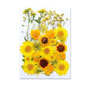 Epoxy Resin Jewelry Kit With Botanical Accessories