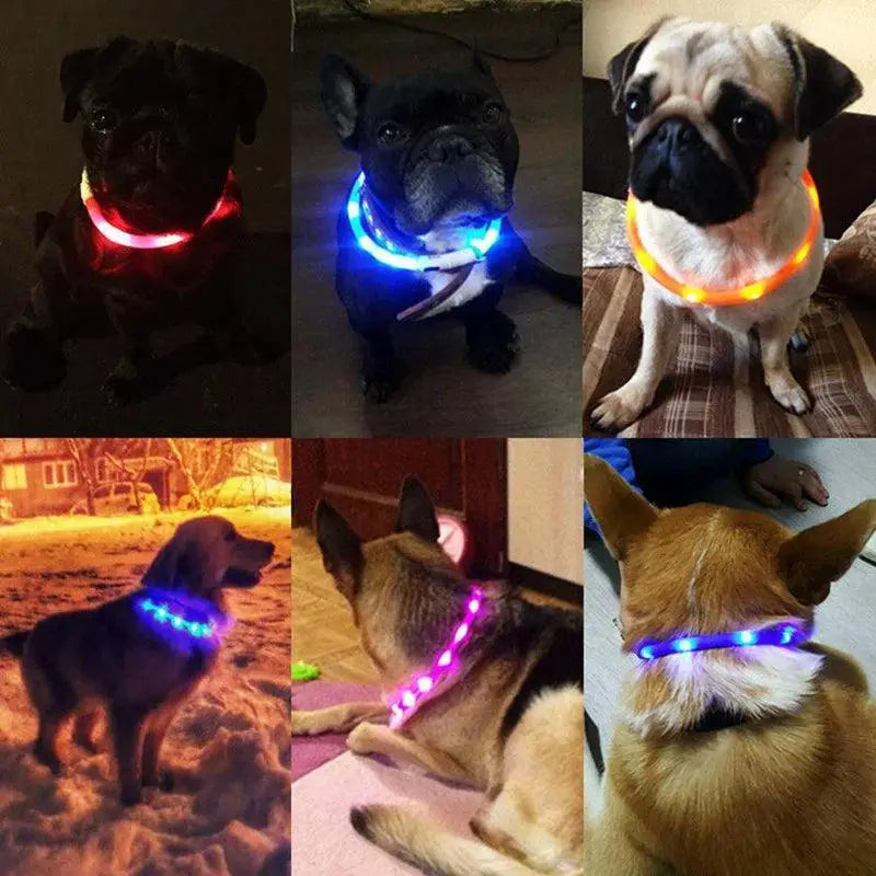 LED Dog Collar for Enhanced Night Safety and Visibility