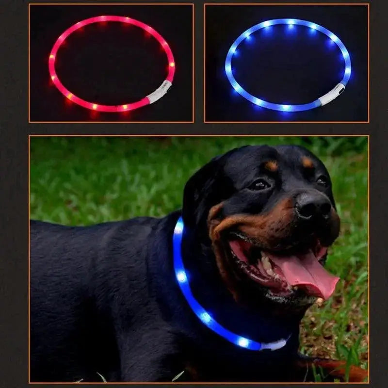 LED Dog Collar for Enhanced Night Safety and Visibility