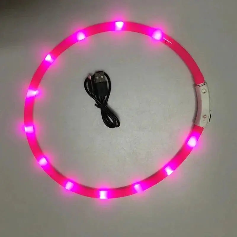 LED Dog Collar for Enhanced Night Safety and Visibility