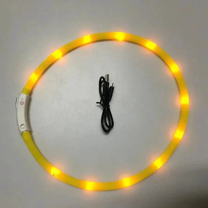 LED Dog Collar for Enhanced Night Safety and Visibility